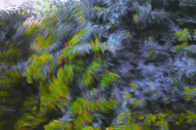 I sometimes ketch myself forgetting to blink on acid.. but dry eyes makes visuals hit a lil diff tbh