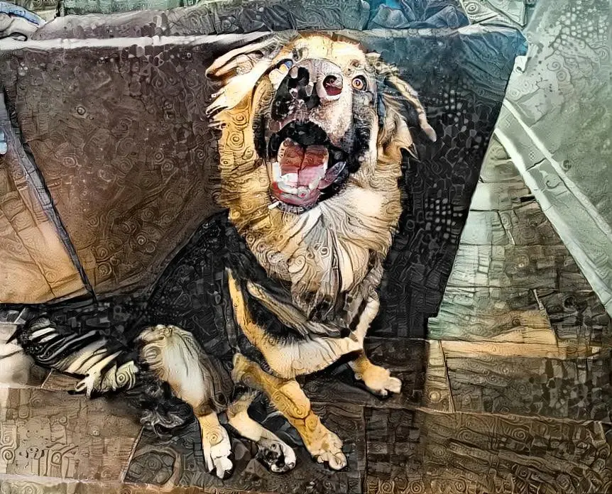 When you're on mushrooms and your dog definitely knows it. (3.5 g personally)