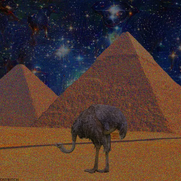 Hail the Ostrich