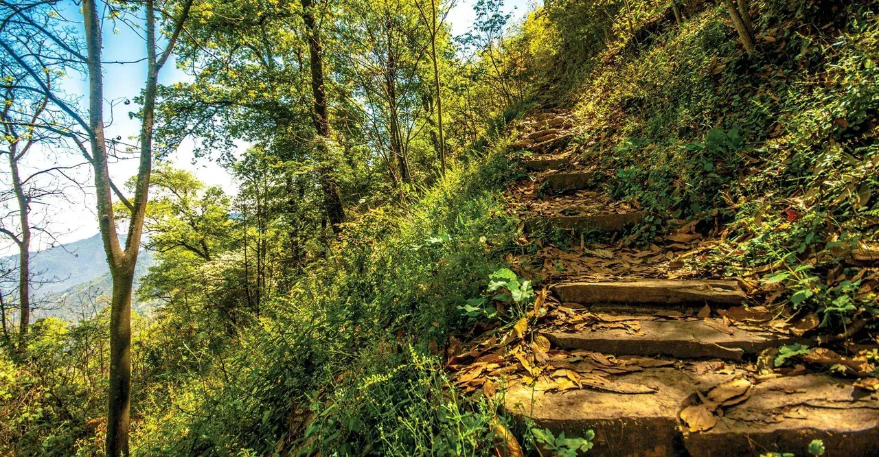 Tripping in the mountain trail [OC]