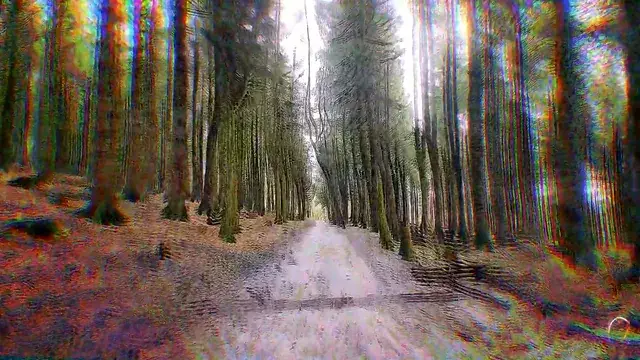 Just walk it off ( Visual jittering and Ego Death )