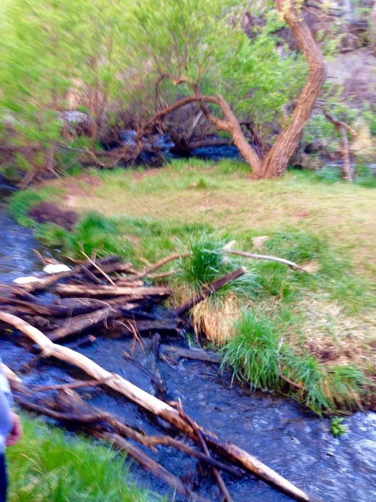 Took a picture while shrooming and it came out like this. Exactly how I want to remember this beautiful place!