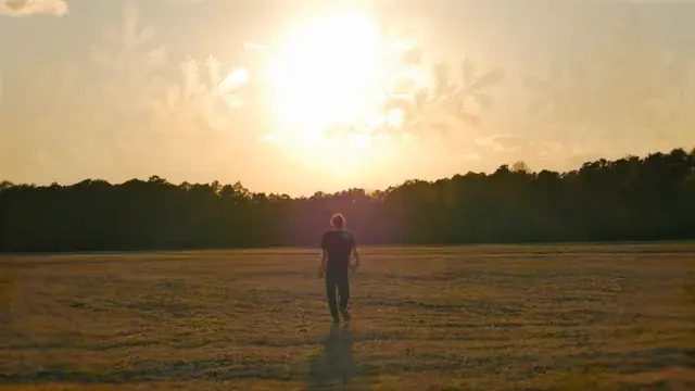 Into the trip (LSD)