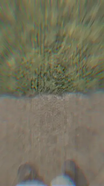 Short psychedelic comp