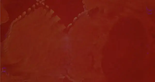 Lsd- upper medium dose (cev+oev+audio)