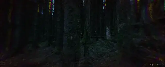 Quick peek at the trees (shot from upcoming short)