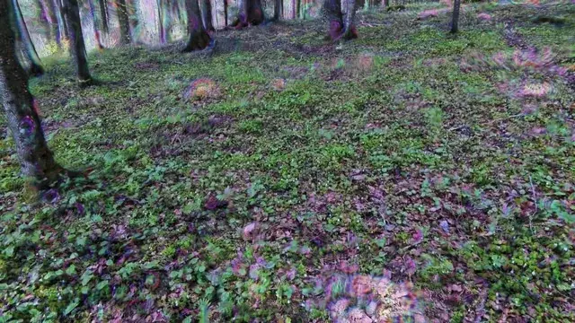 Multisensory memory from that synesthetic hike