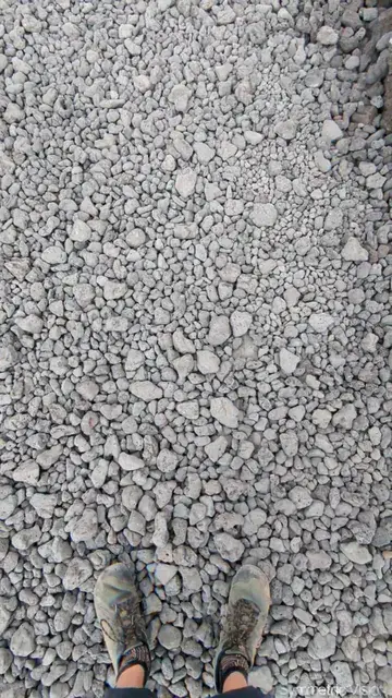 This rocky desert path reminds me of the jungle for some reason