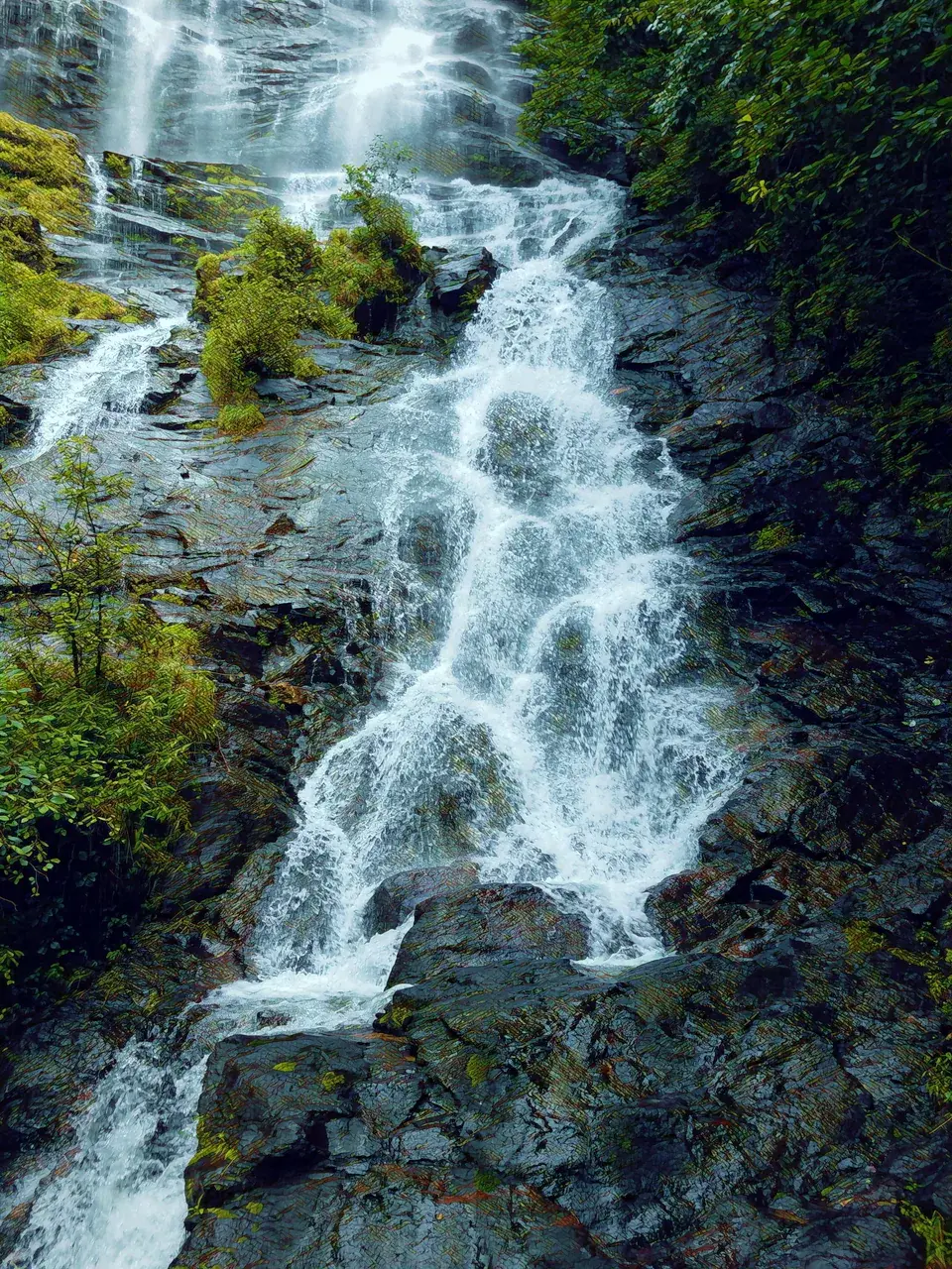 Replication of what I saw on my first acid trip and hit a cart while peaking