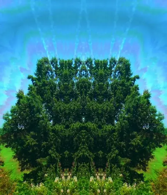 When the weed amps up the trip