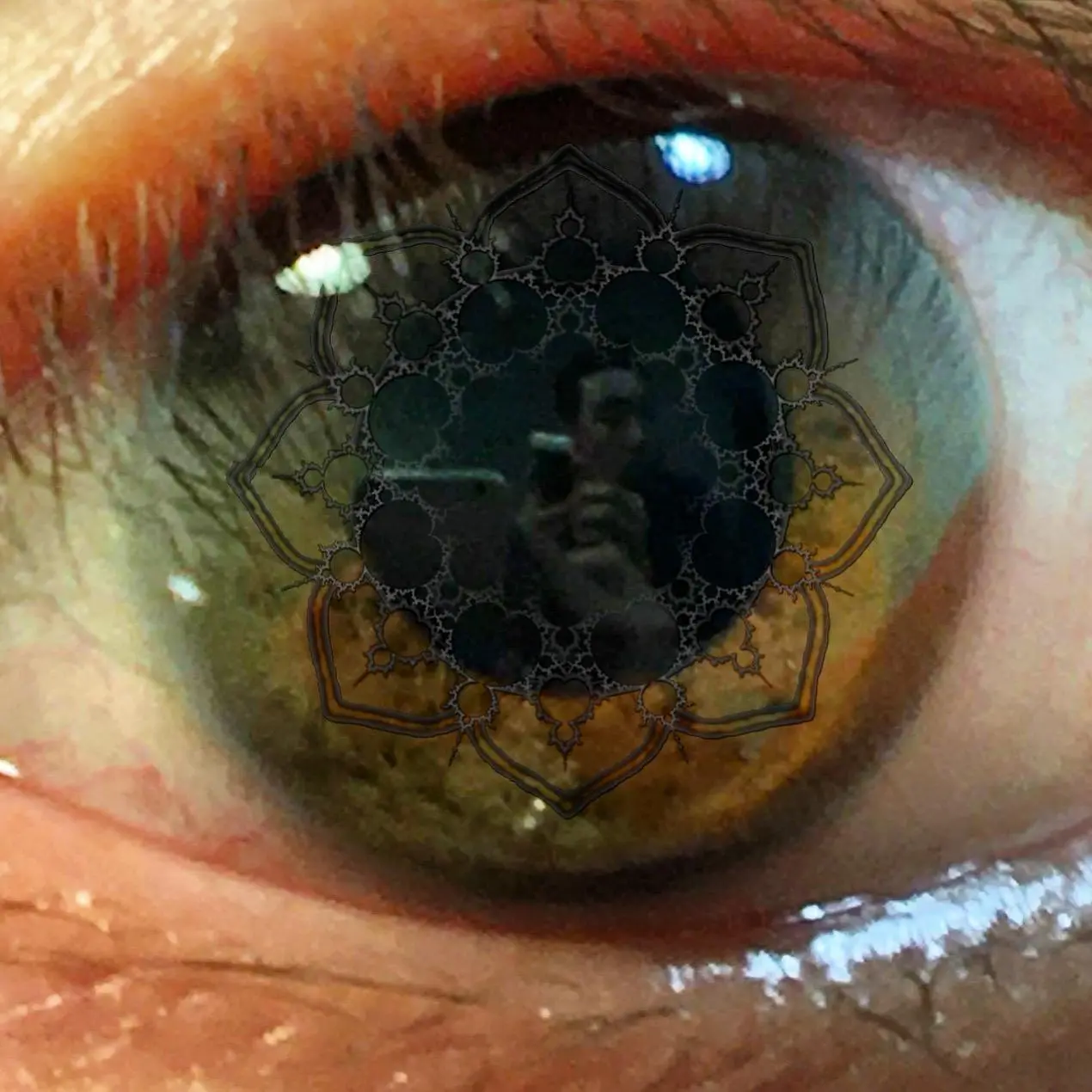Lsd: mandelbrot lotus petals forming out of iris sinews.