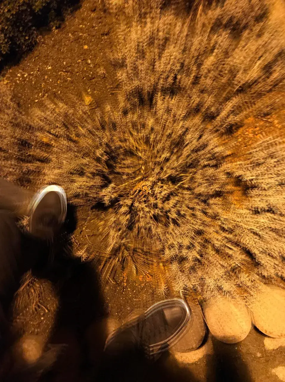 Falling
