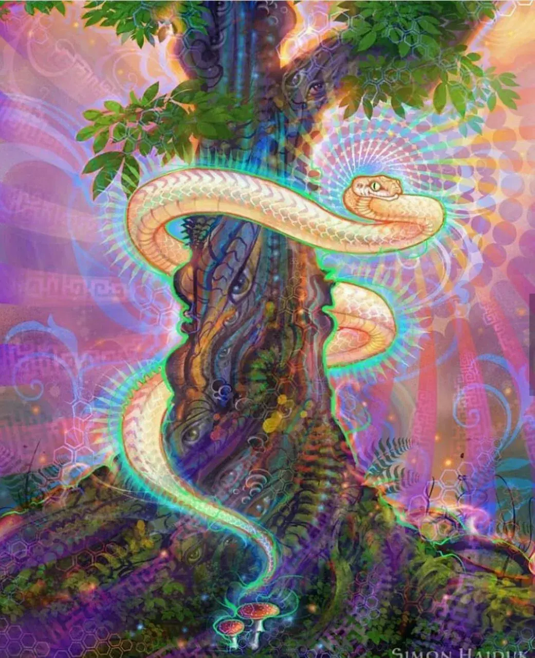 Eden's Dream