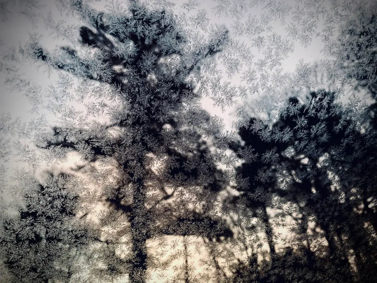 Remove if not allowed, but this is eerily similar to fractals I've seen on a trip.