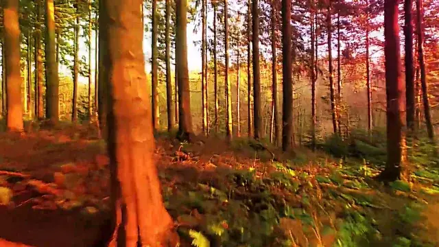 First time trying to make a replication