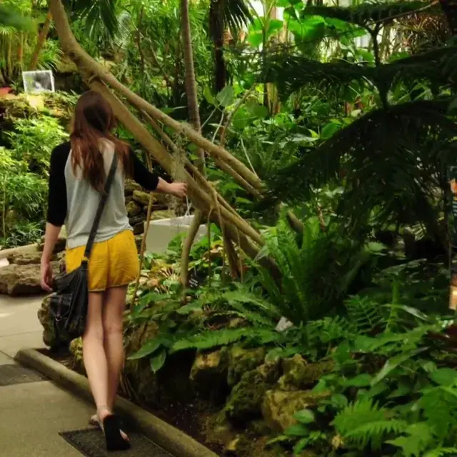 Tripping at a Conservatory (OC)