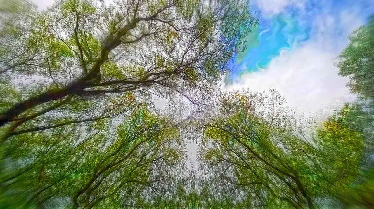 "I think it's kicking in" [x-post /r/LSD]