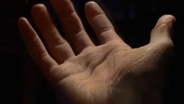 sign language (LSD)