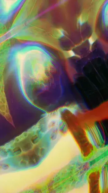 250 ug