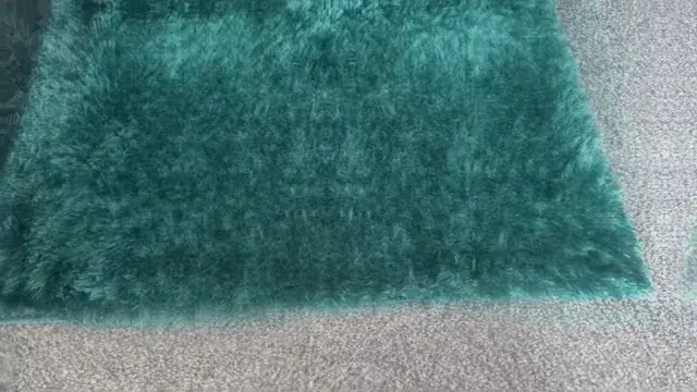 The sound of silence and this carpet.