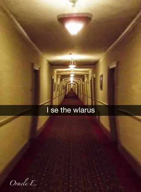 Have y’all met the Ambien walrus?? (Been a few years since my experience, and I barely remember anything)