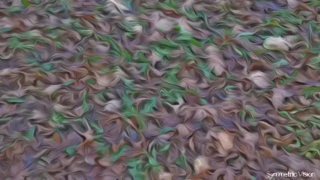 Salvia Leaves