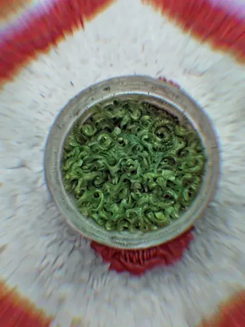 holy plant
