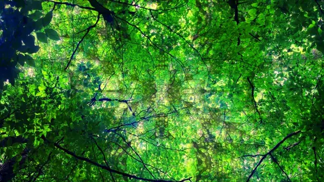 Symmetrical repetition and drifting leaves
