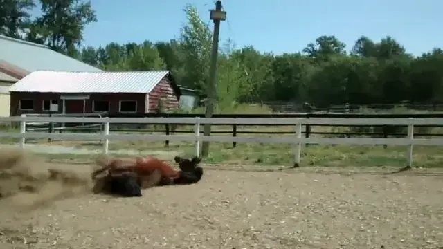 Image compression causing some very psychedelic effects on the gravel [x-post /r/unexpected]