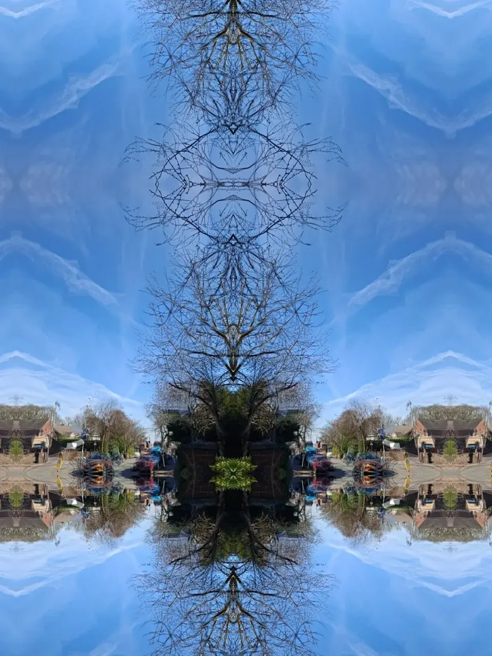 Symetrical visions