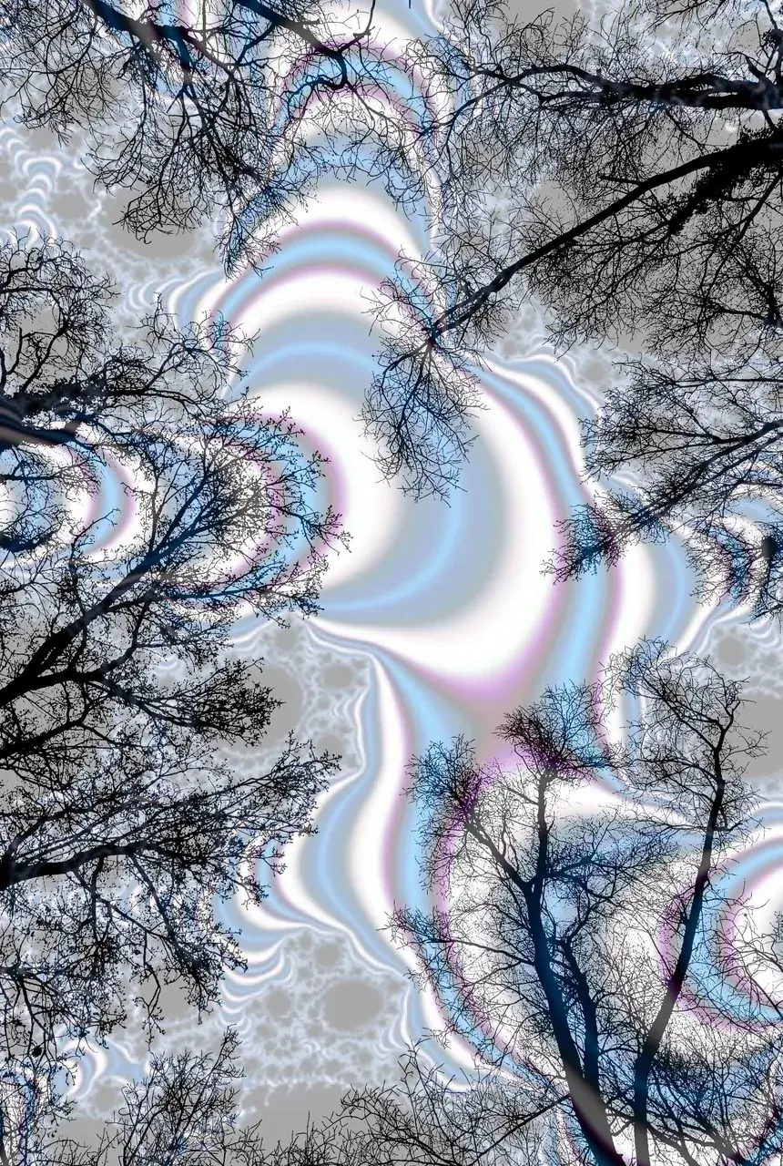 Fractal fractal