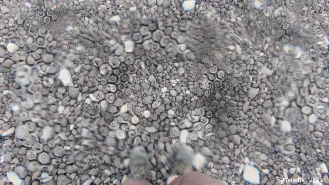 Trying not to get lost on this rocky road, on psychedelics