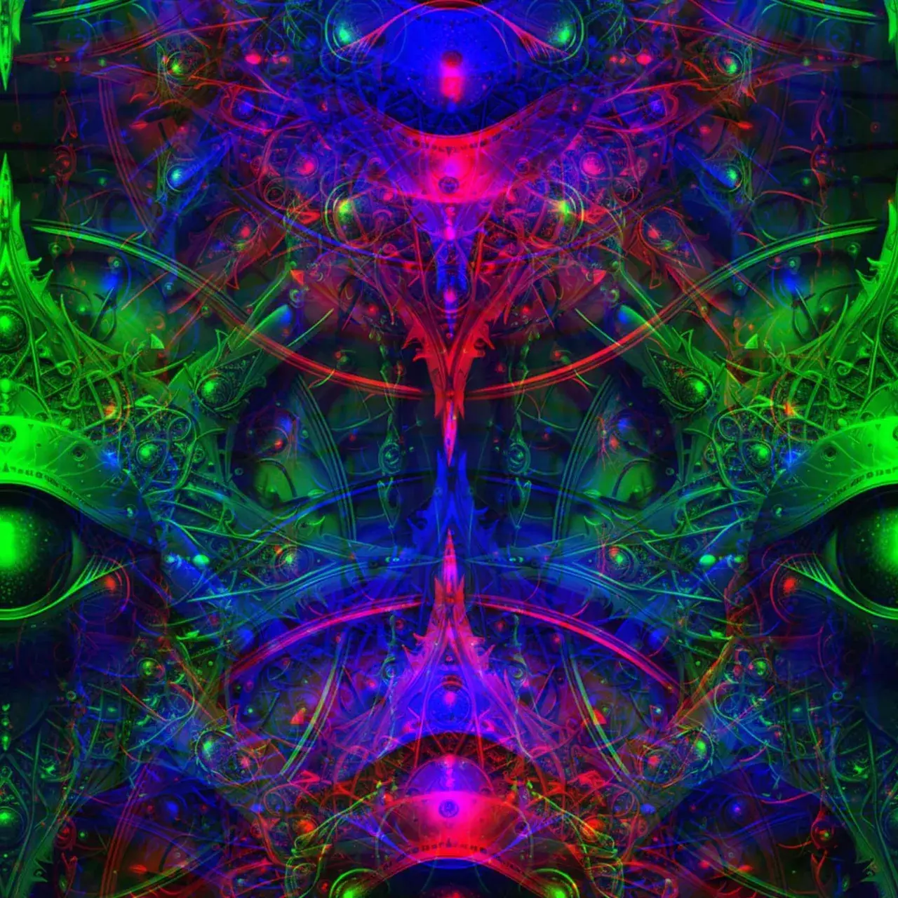 DMT entities contact