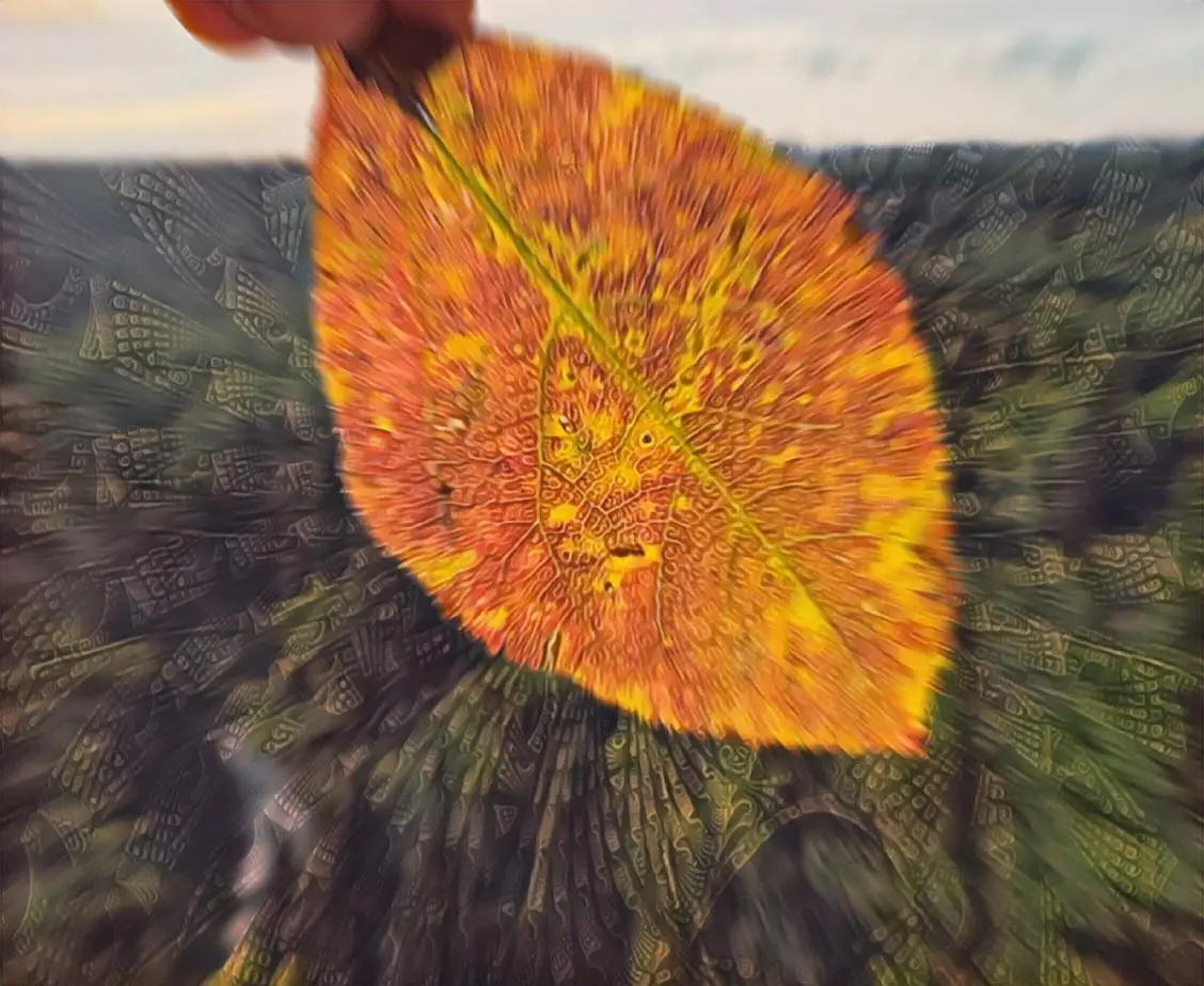 Sweet Leaf [OC]