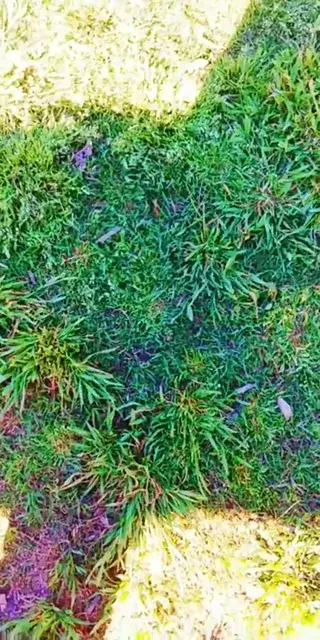 If Snapchat could see what I see during the come up of a trip