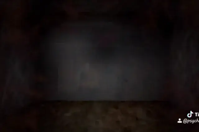 Deliriant replications (not my own) with music