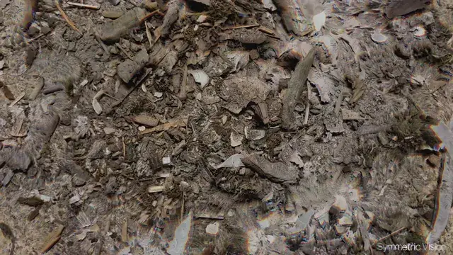 Staring at a Trash Pile