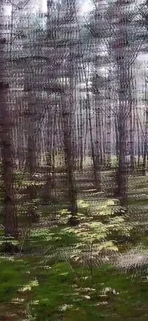 I made an Instagram AR effect that produces customizable replications resembling ~150ug (link in comments)