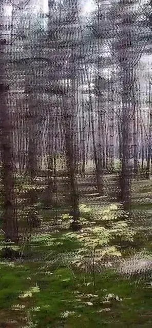 I made an Instagram AR effect that produces customizable replications resembling ~150ug (link in comments)