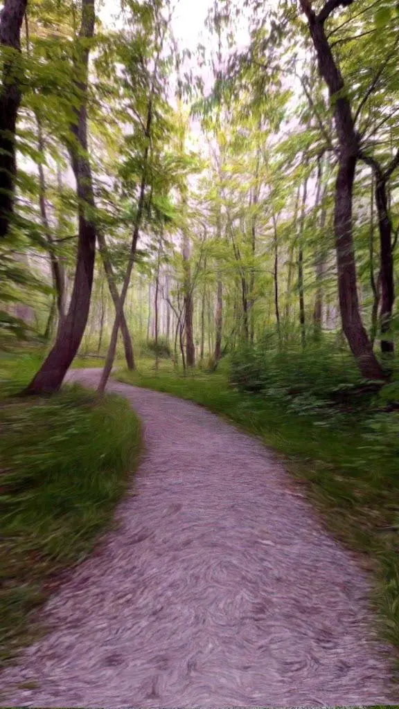 Photo my friend took in the park