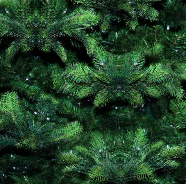This Christmas Tree on acid