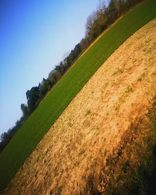 The suns back!