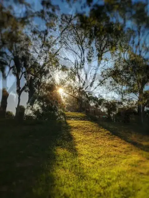 Tame Impala recursion