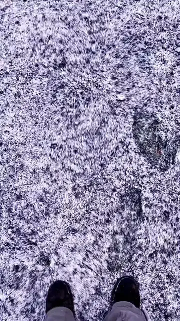 Frost fractals