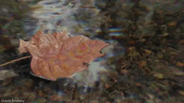 This leaf is telling me some weird shit...