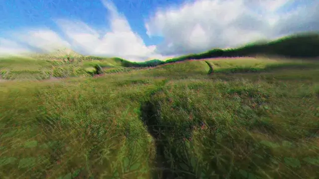dream walk (2cb + lsd)