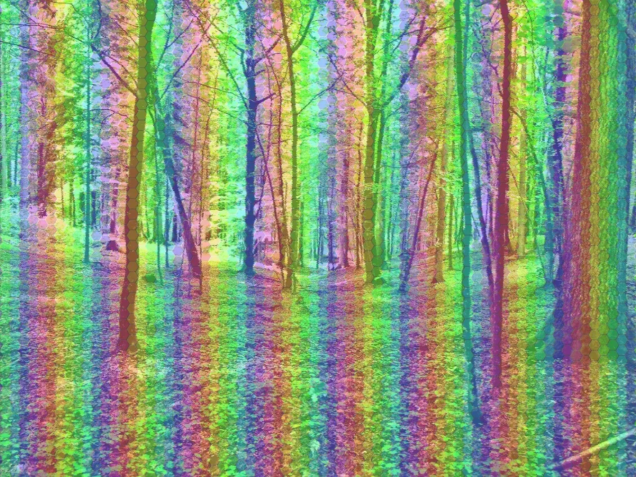4-AcO-DMT First Experience