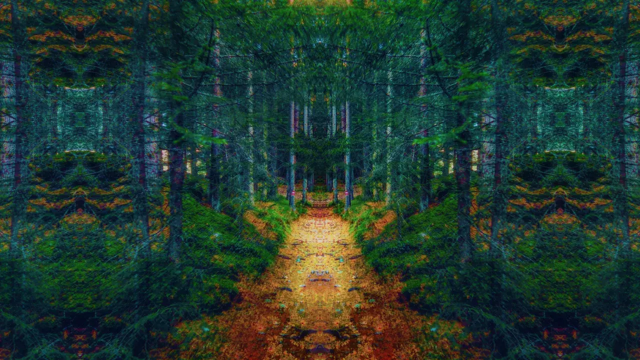 Walking in the forest.