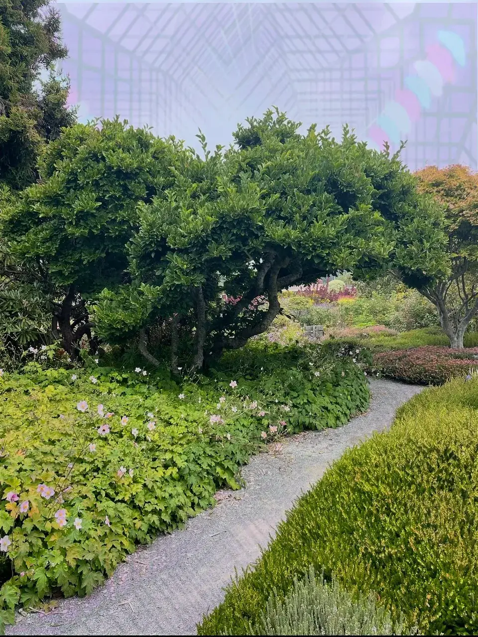 My attempt at high dose LSD at the Mendocino coast botanical gardens