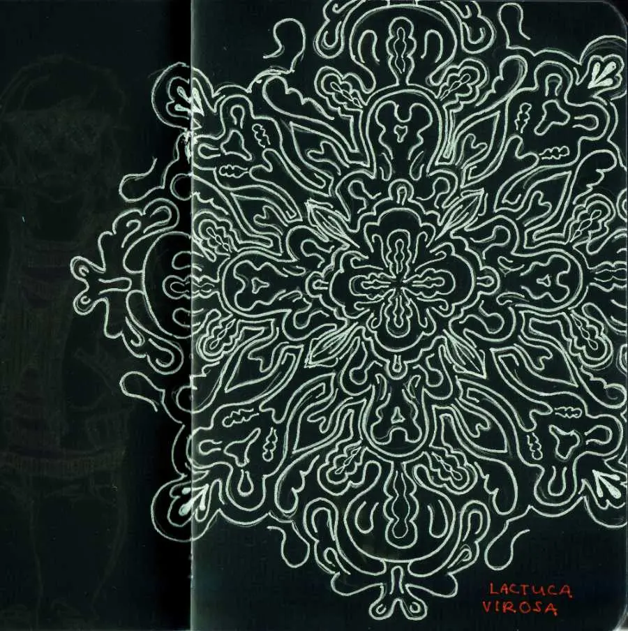Some of you asked me to post more. Here's some closed eye visuals from Lactuca virosa (wild lettuce) in my sketchbook, made a negative. Yah, I did weird stuff in college.